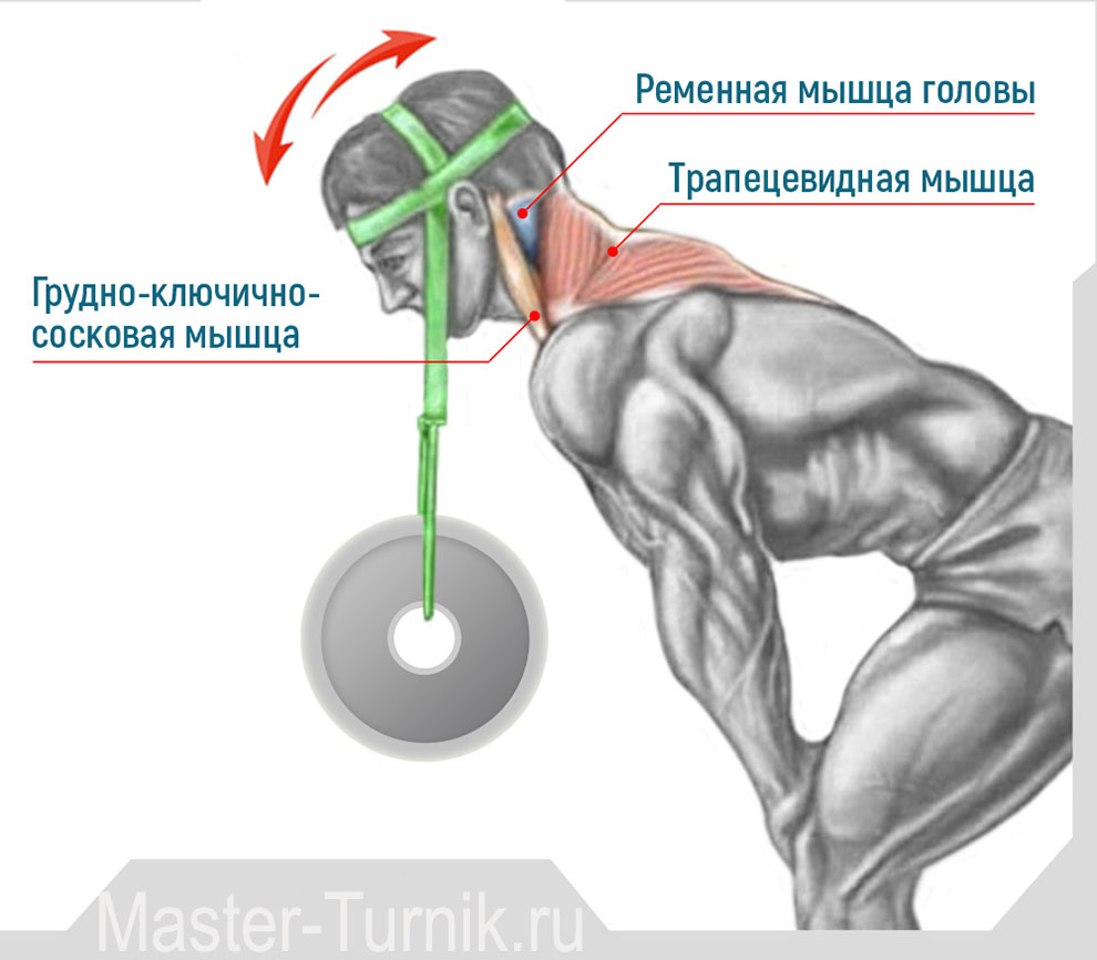 Махи гантелей в стороны стоя техника выполнения